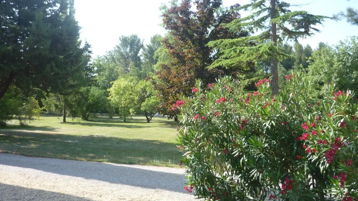 vue sur le parc