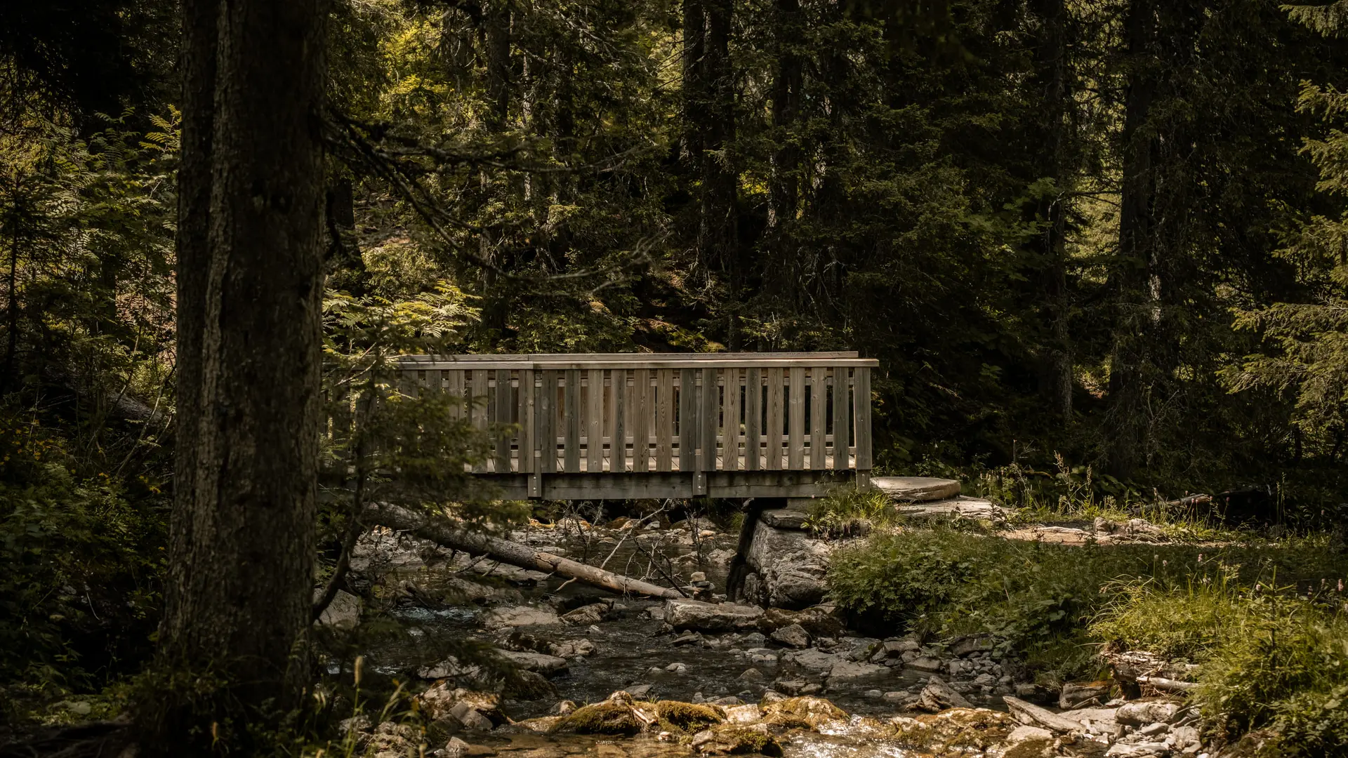 Pont en bois
