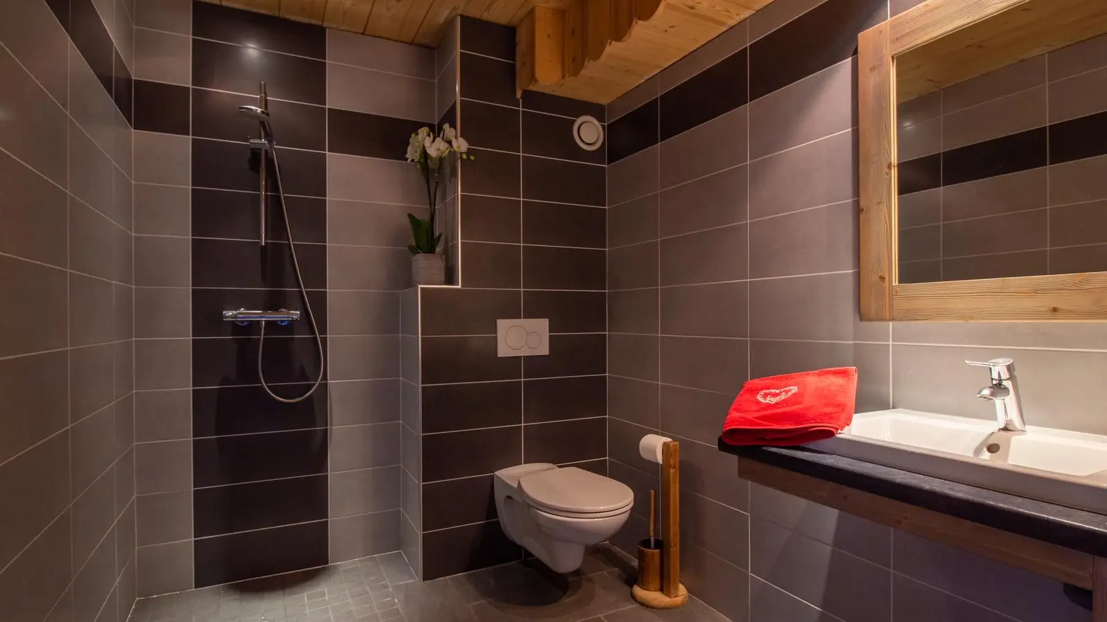 la salle de bain accessible