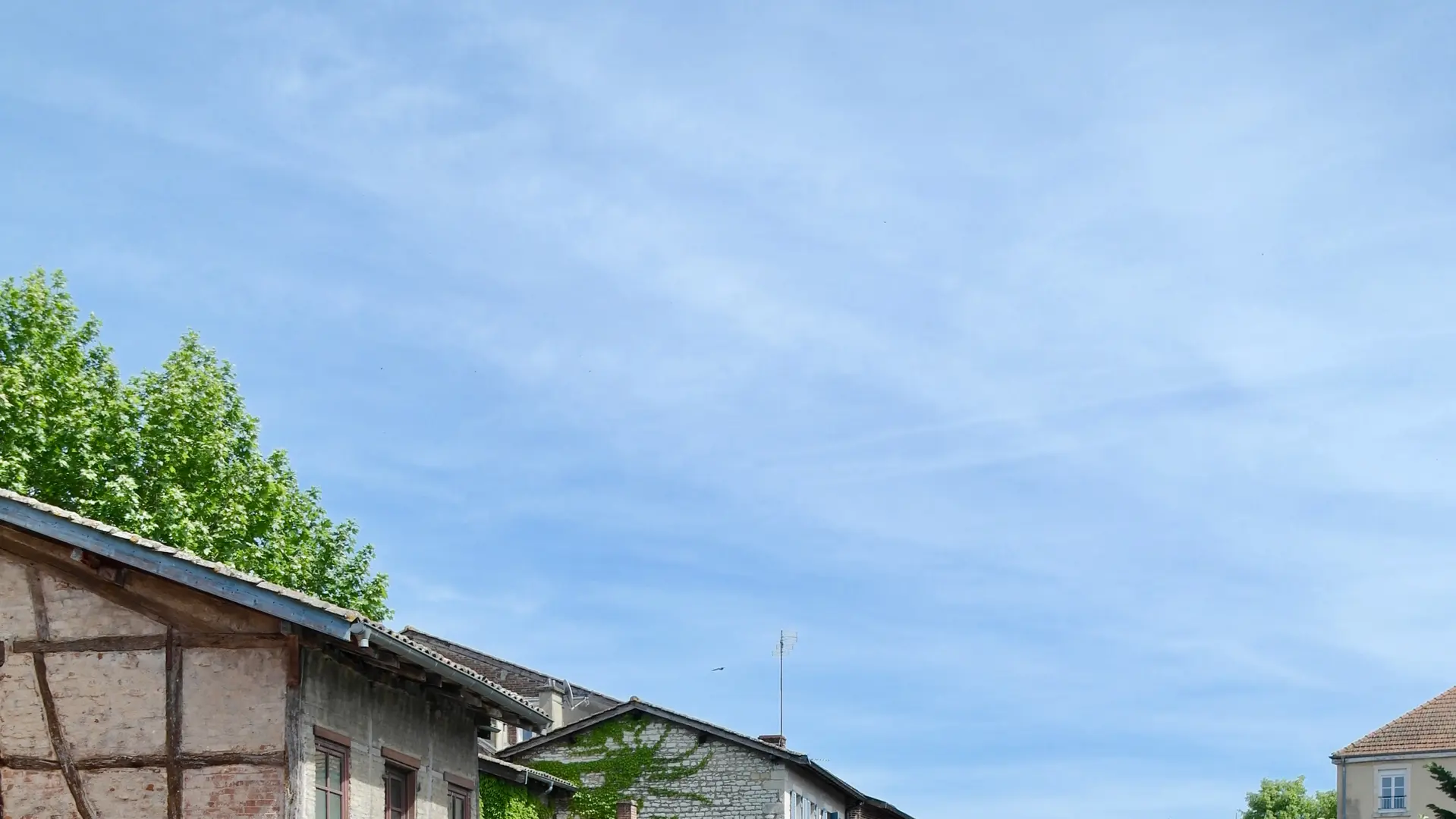 Châtillon-sur-Chalaronne, petite Venise de la Dombes