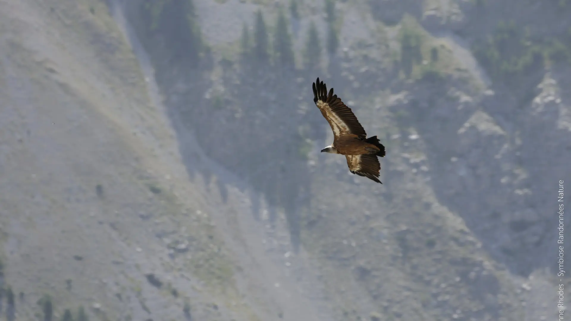 Symbiose Randonnées Nature CROTS