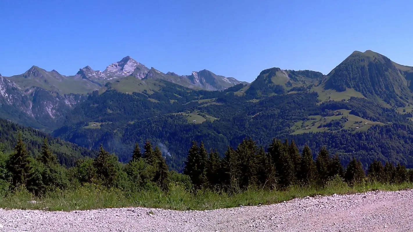 Panorama