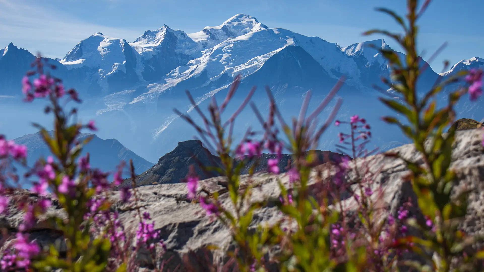 Vue sur le  mont Blanc depuis le Désert de Platé