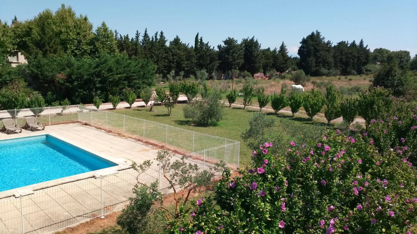 Piscine - Jardin