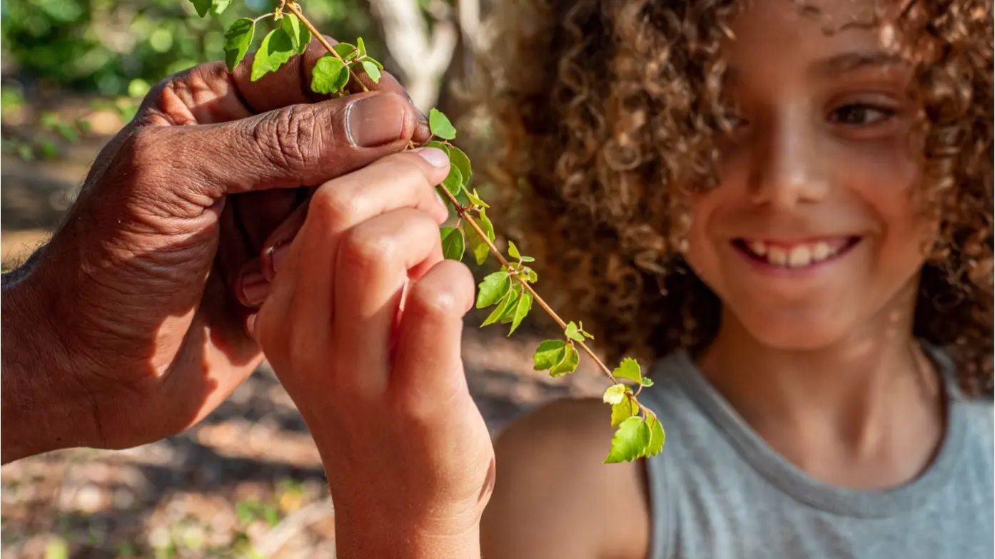 Retrouvez des yeux d'enfants en apprenant à redécouvrir ces espèces végétales...