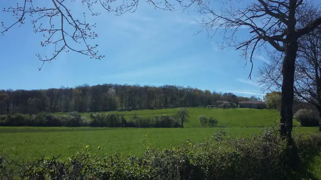 Vue depuis la route