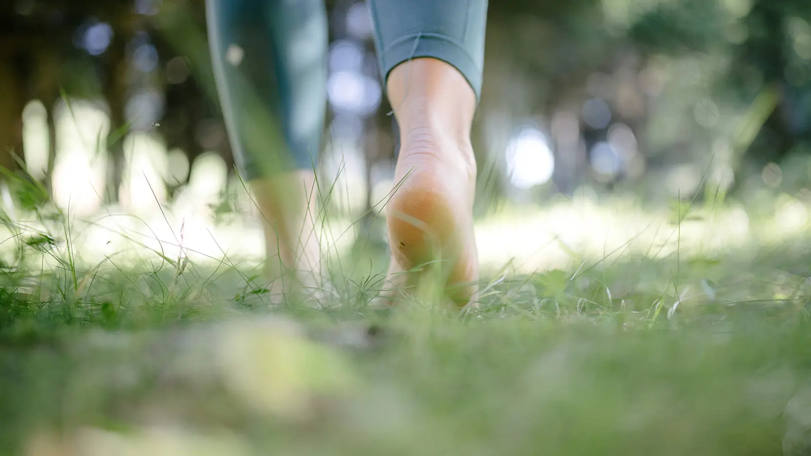 Découvrez la nature qui nous entoure à l'occasion d'une séance de yoga