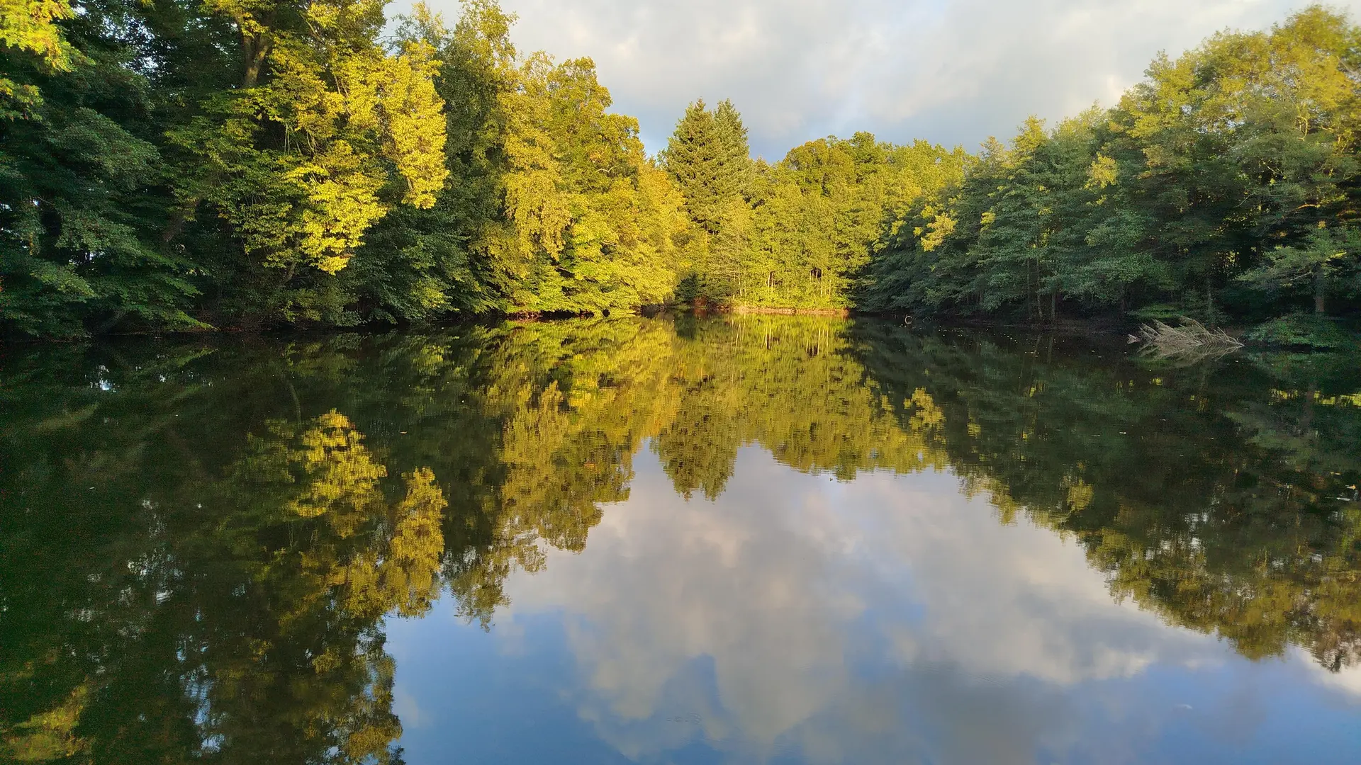 Parc de Maubourg - Etang à l'automne