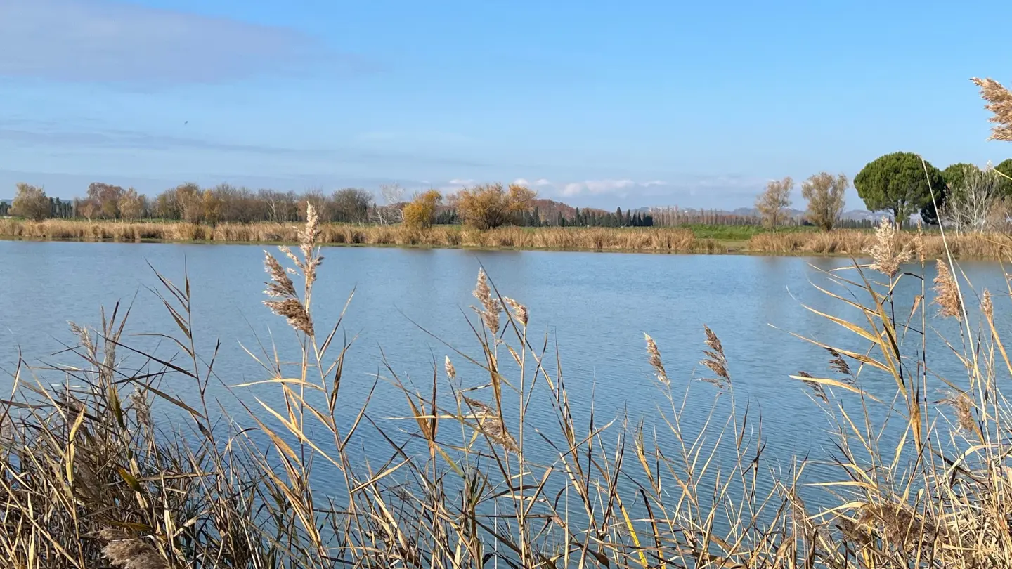 Barrettsee_Saint-Rémy-de-Provence