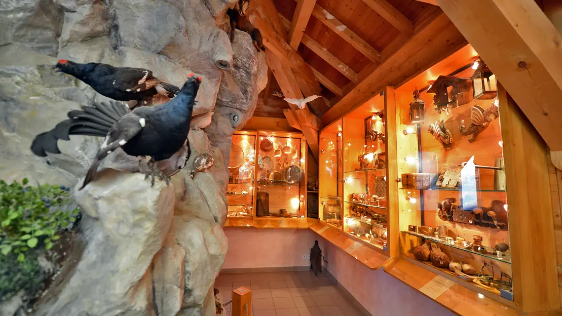 Eco-musée de Cohennoz
