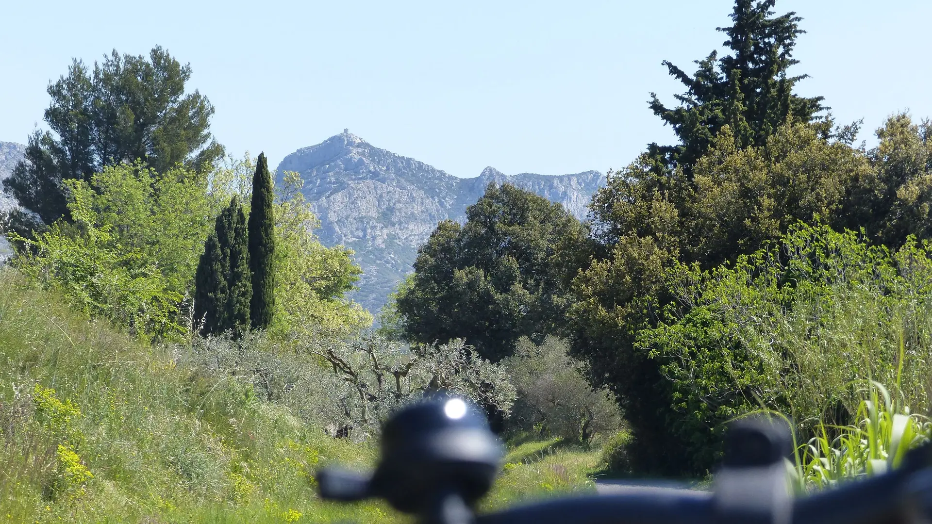 Vue sur la tour des Opies depuis la D24A