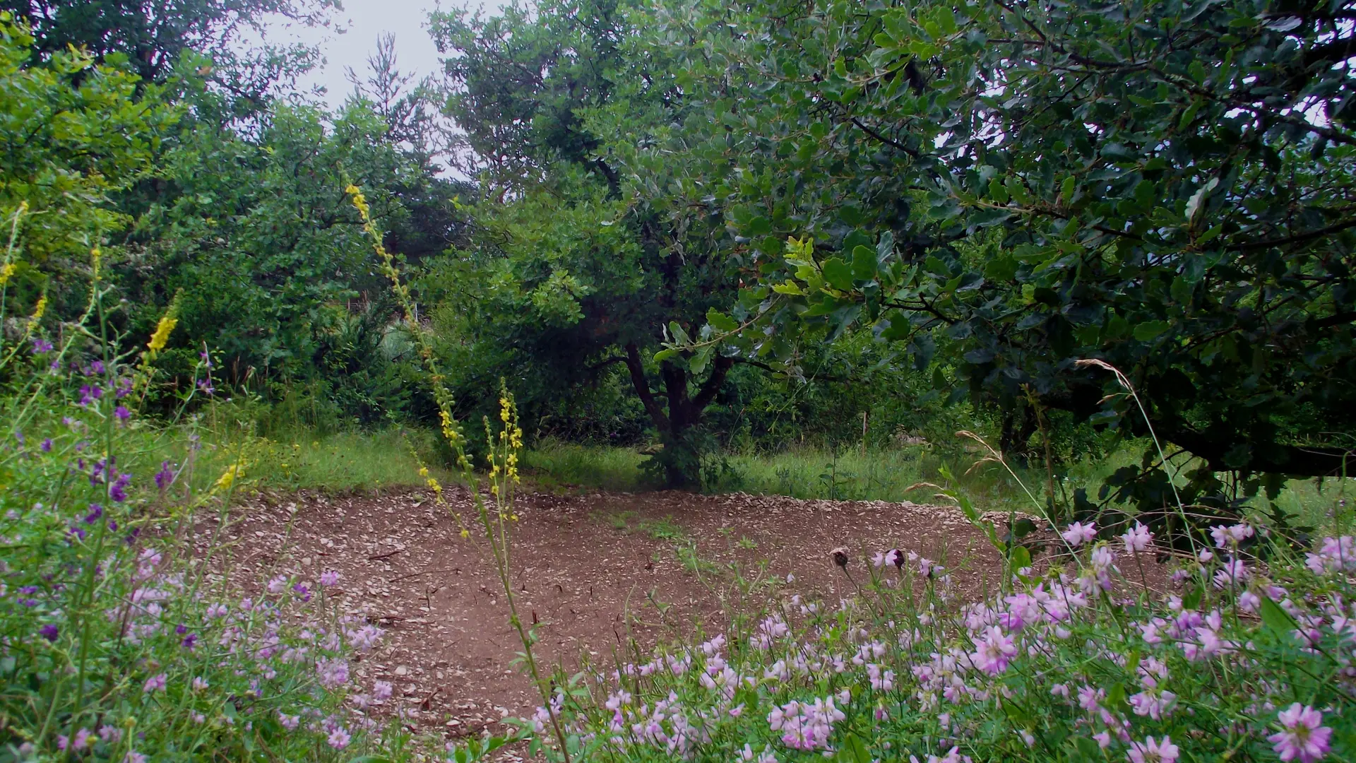 1 emplacement camping