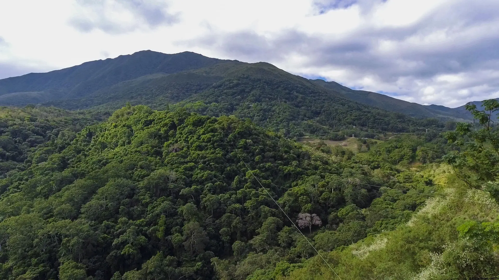 Tyrolienne - La Belle Verte Canopy Tours