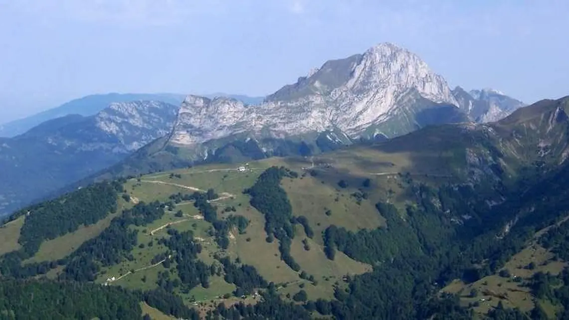 Allant Cross