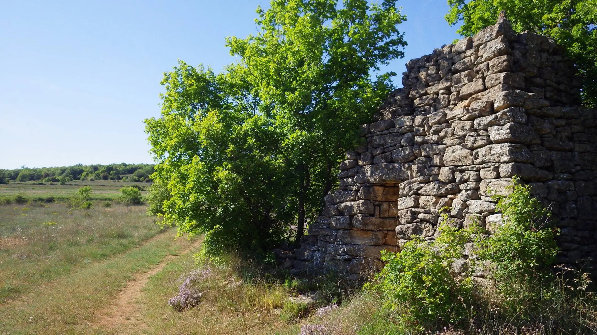 Ruine de petit cabanon