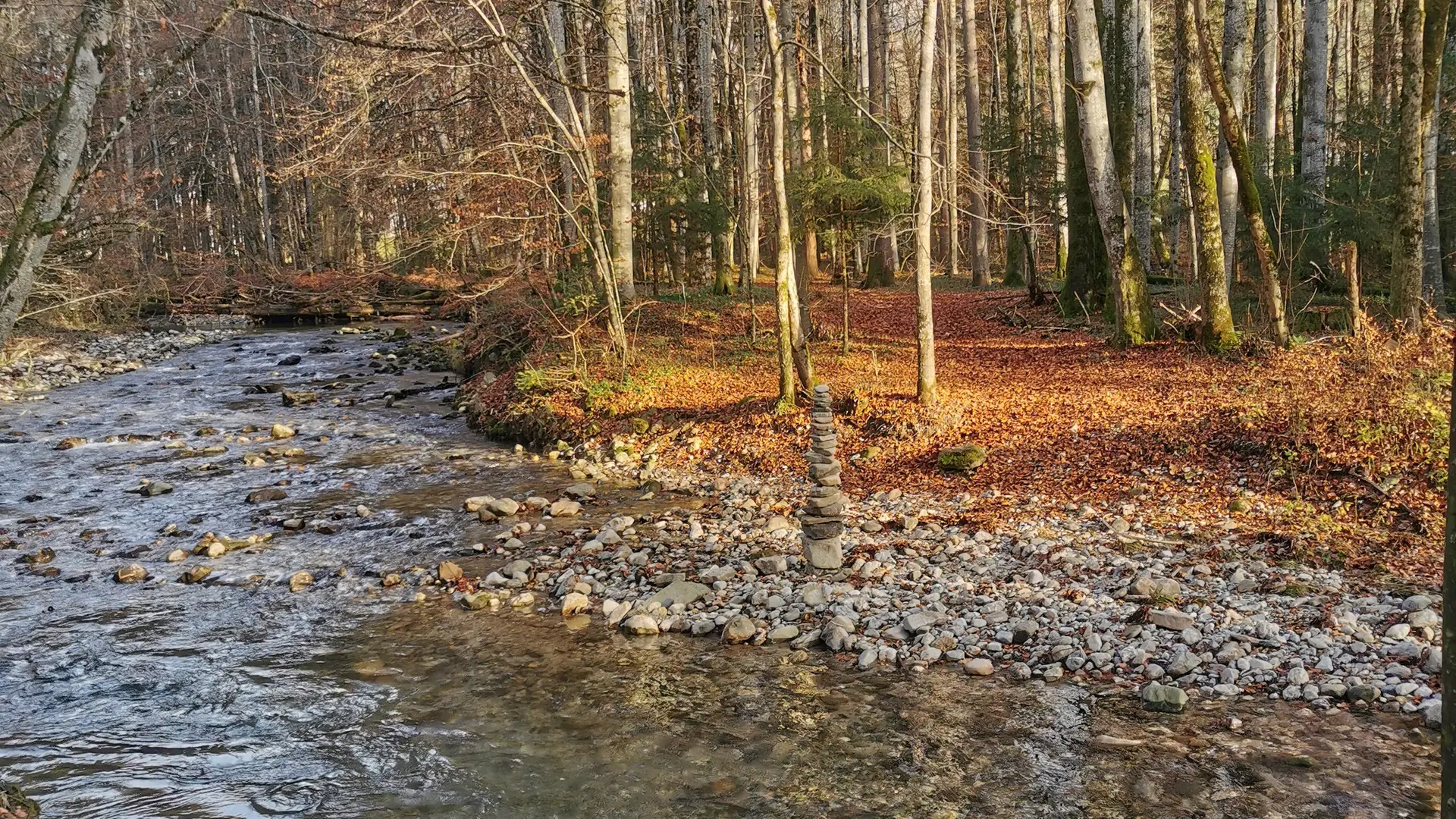 Berges de la Menoge en automne