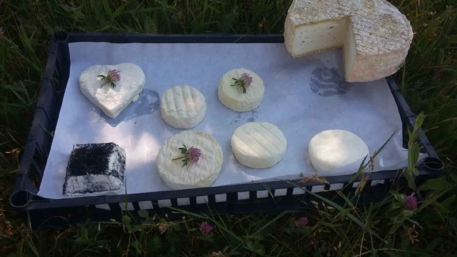 Fromages de chèvre