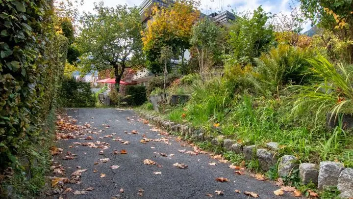 Allée avec 2 places de stationnement