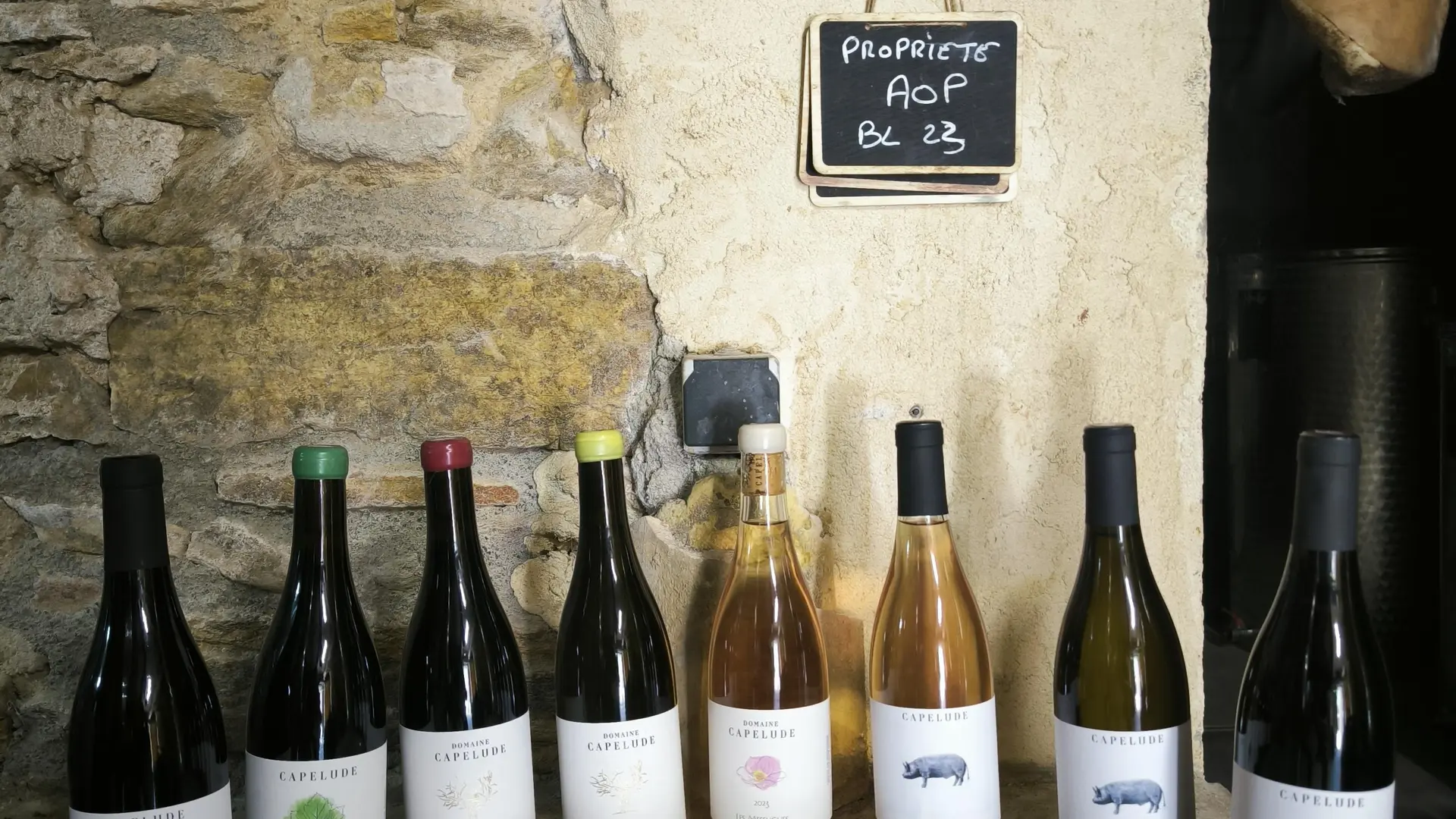 Vins biologiques du Domaine de Capelude