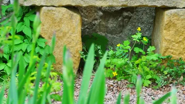 Jardin du Moyen Age © Evelyne Deveaux