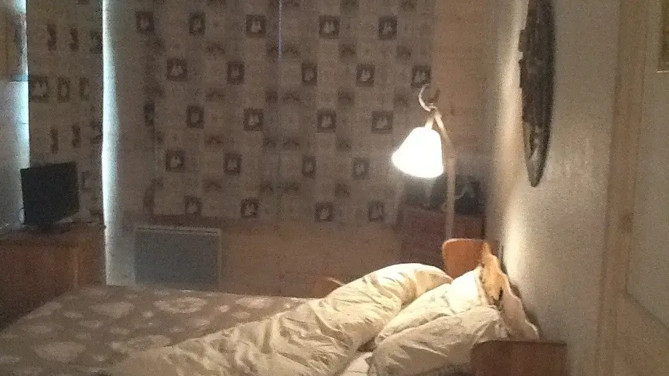 Jonquille120_Bernard