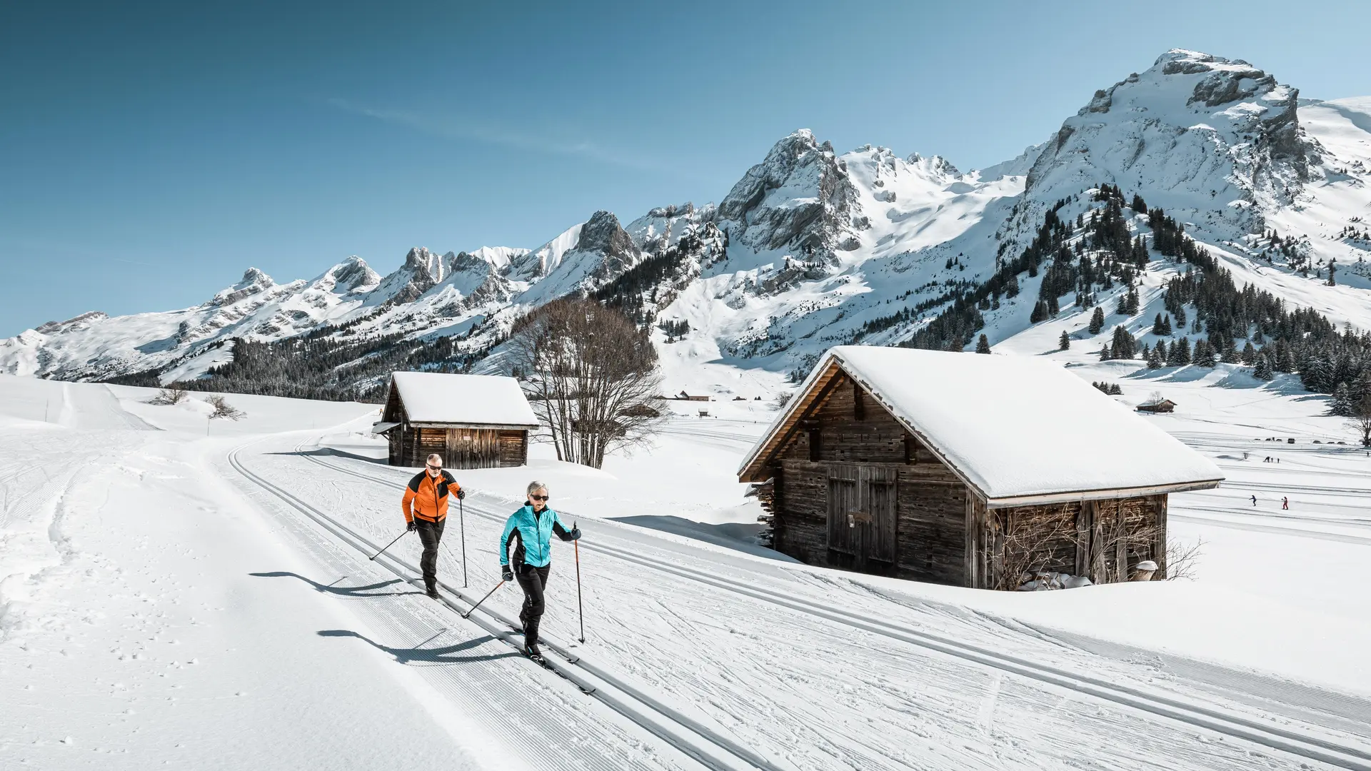 Une vue de rêve en ski de fond