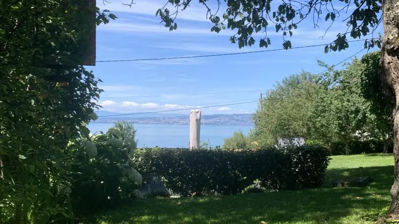 Jardin arrière