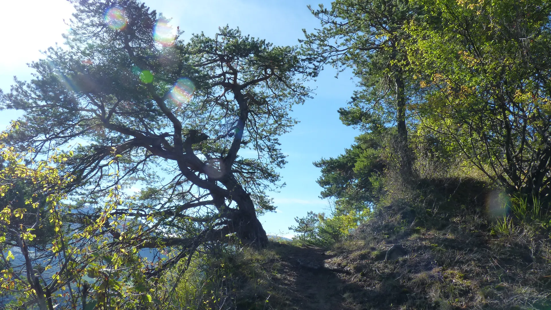 La Chapelle Saint Sixte par la Bergerie