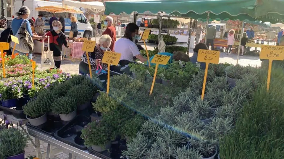 Marché rural