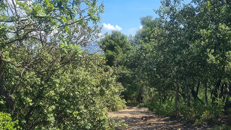 Circuit des Crêtes_Gardanne