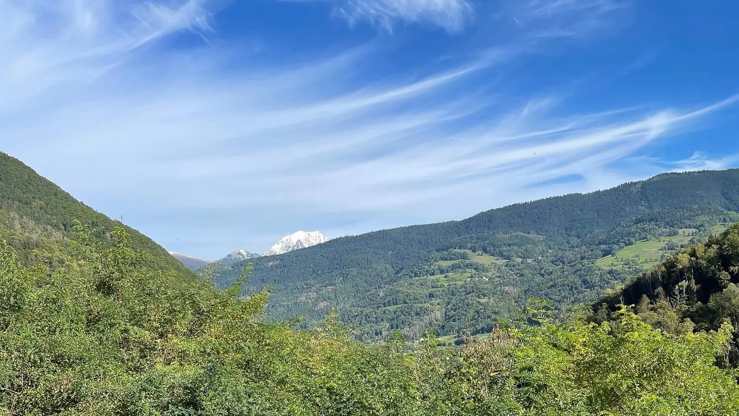Balades en forêt près du gîte