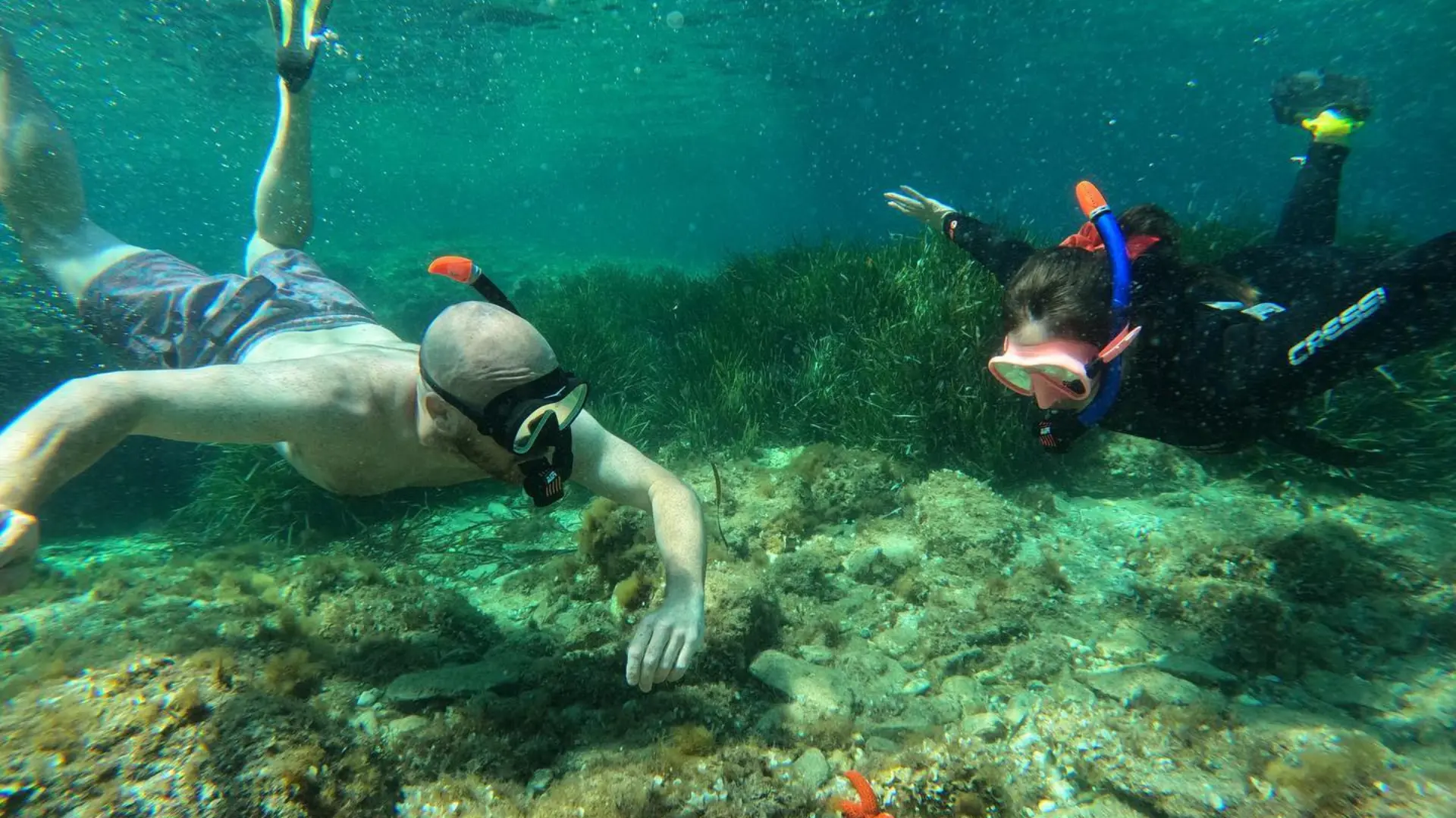 Sanary Snorkeling