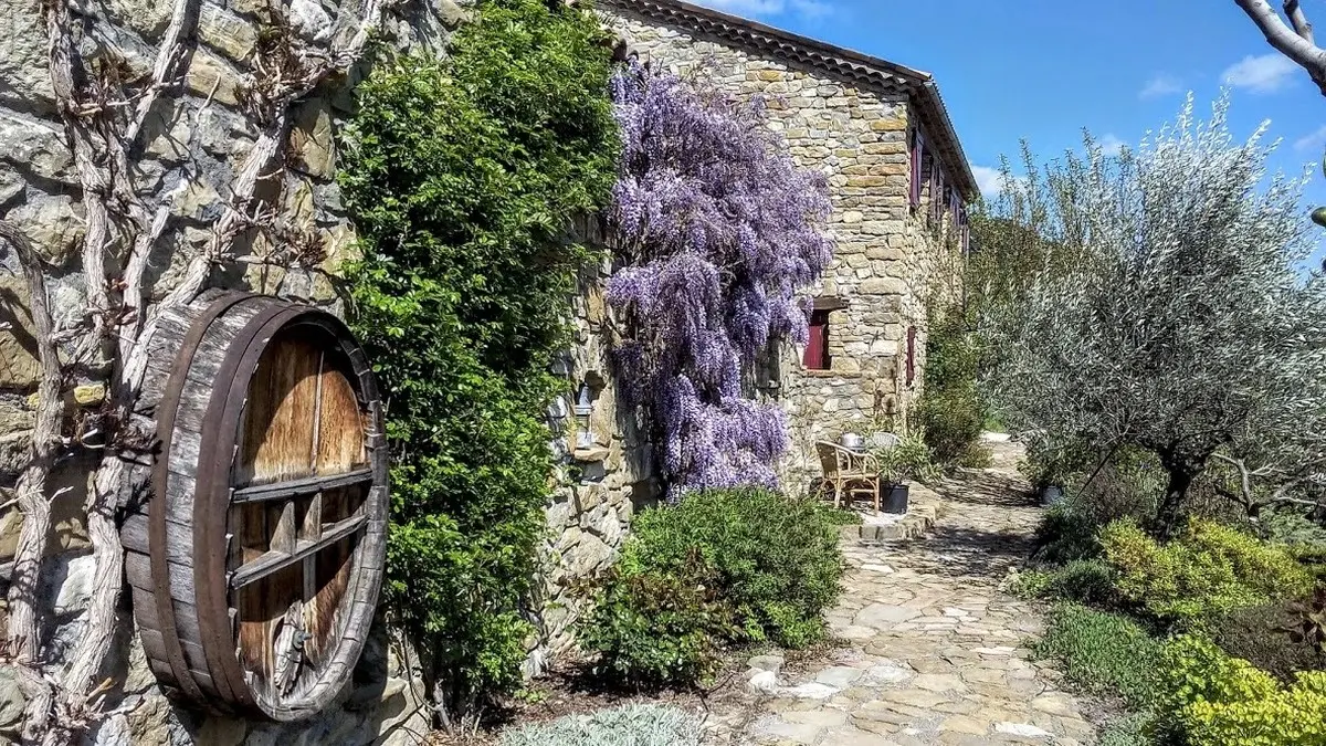 Glycine gîte Neptune