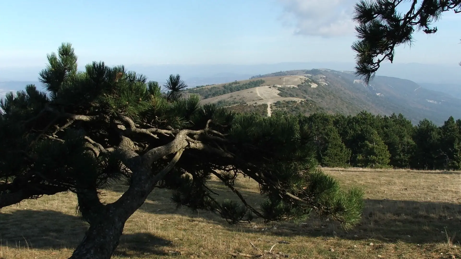Crêtes du Grand Luberon