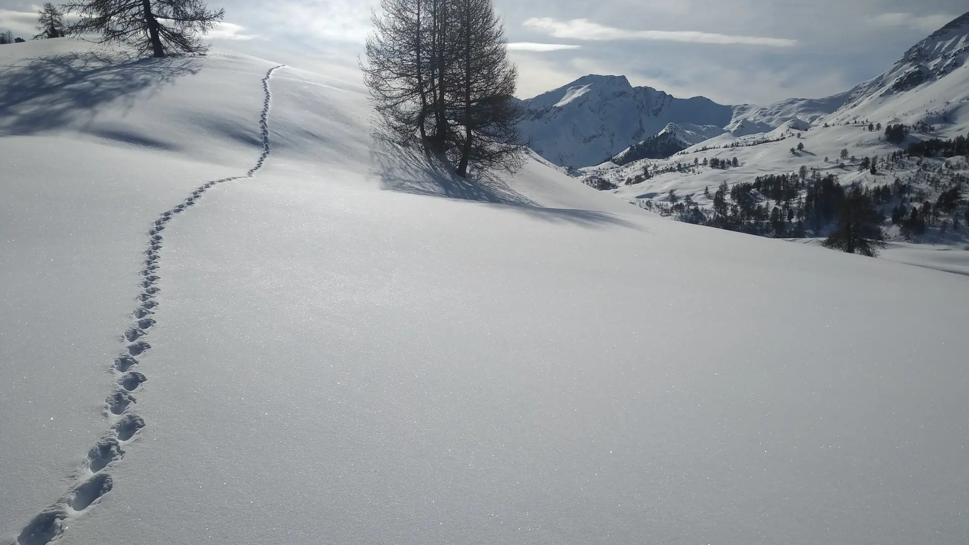 Montagne Mélézin