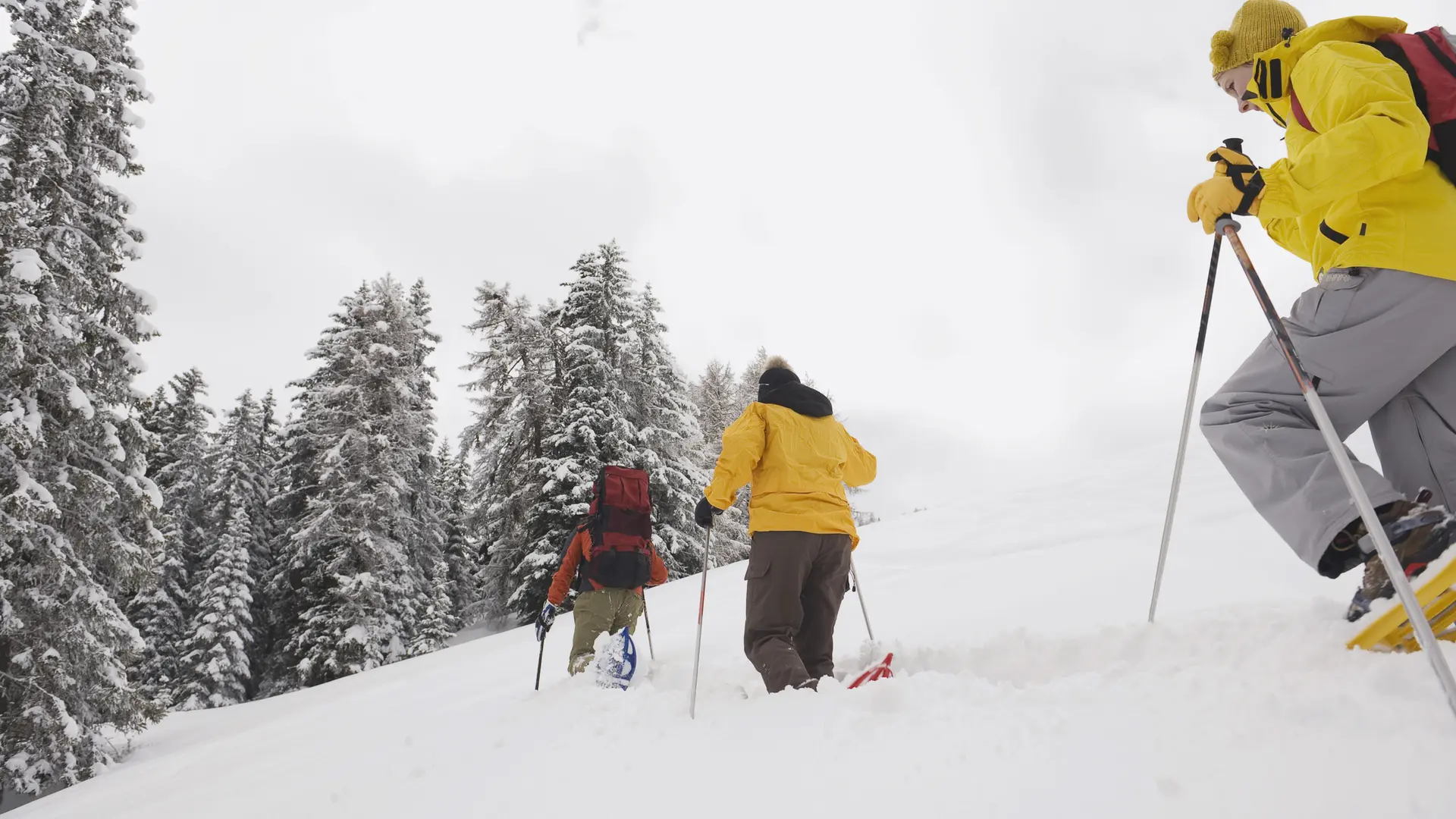 Balade en raquettes autour des Saisies