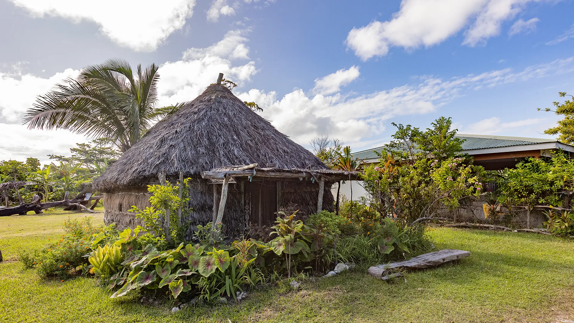 Thatched hut