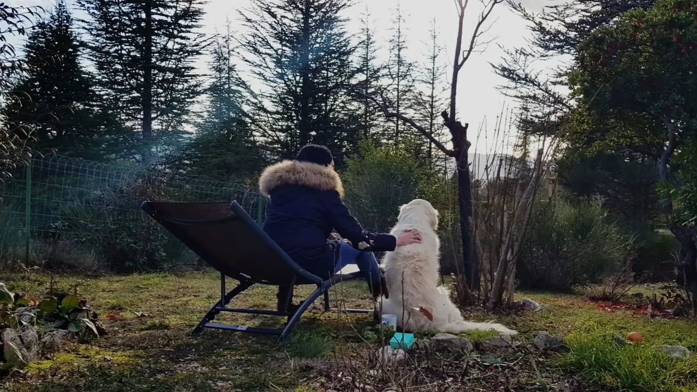 Méditation au jardin