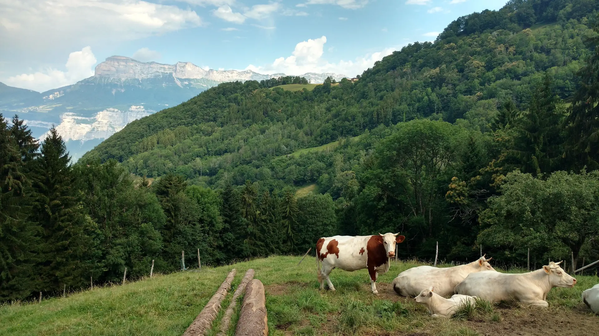 Vue sur la dent de Crolles