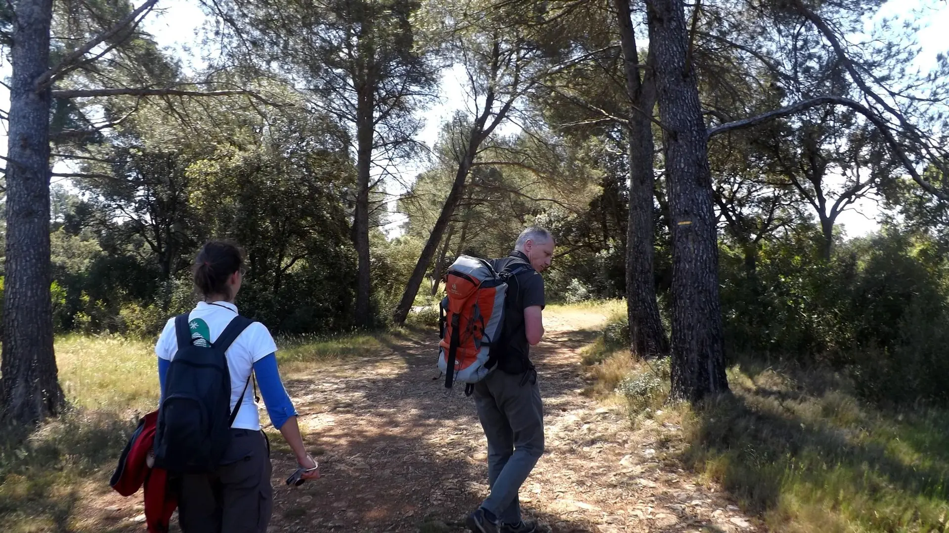 Au coeur de La Garrigue