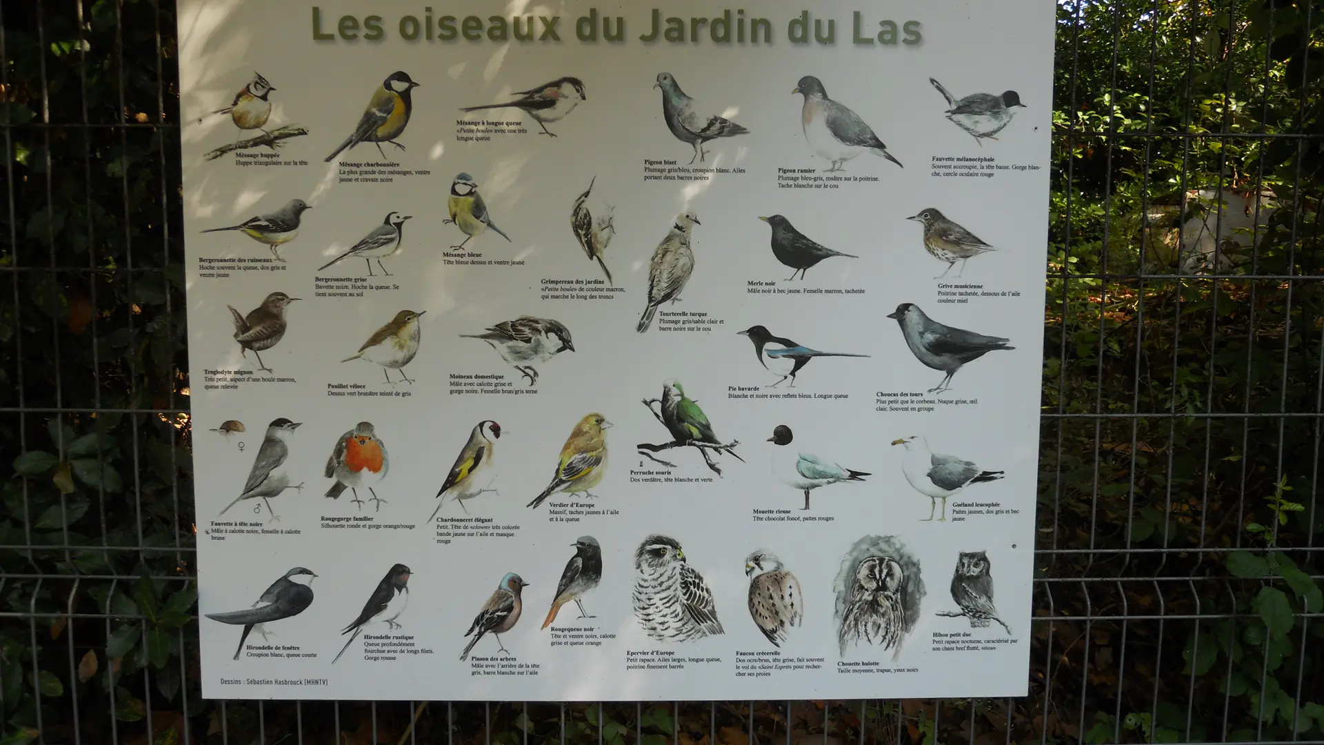 Jardin du Las