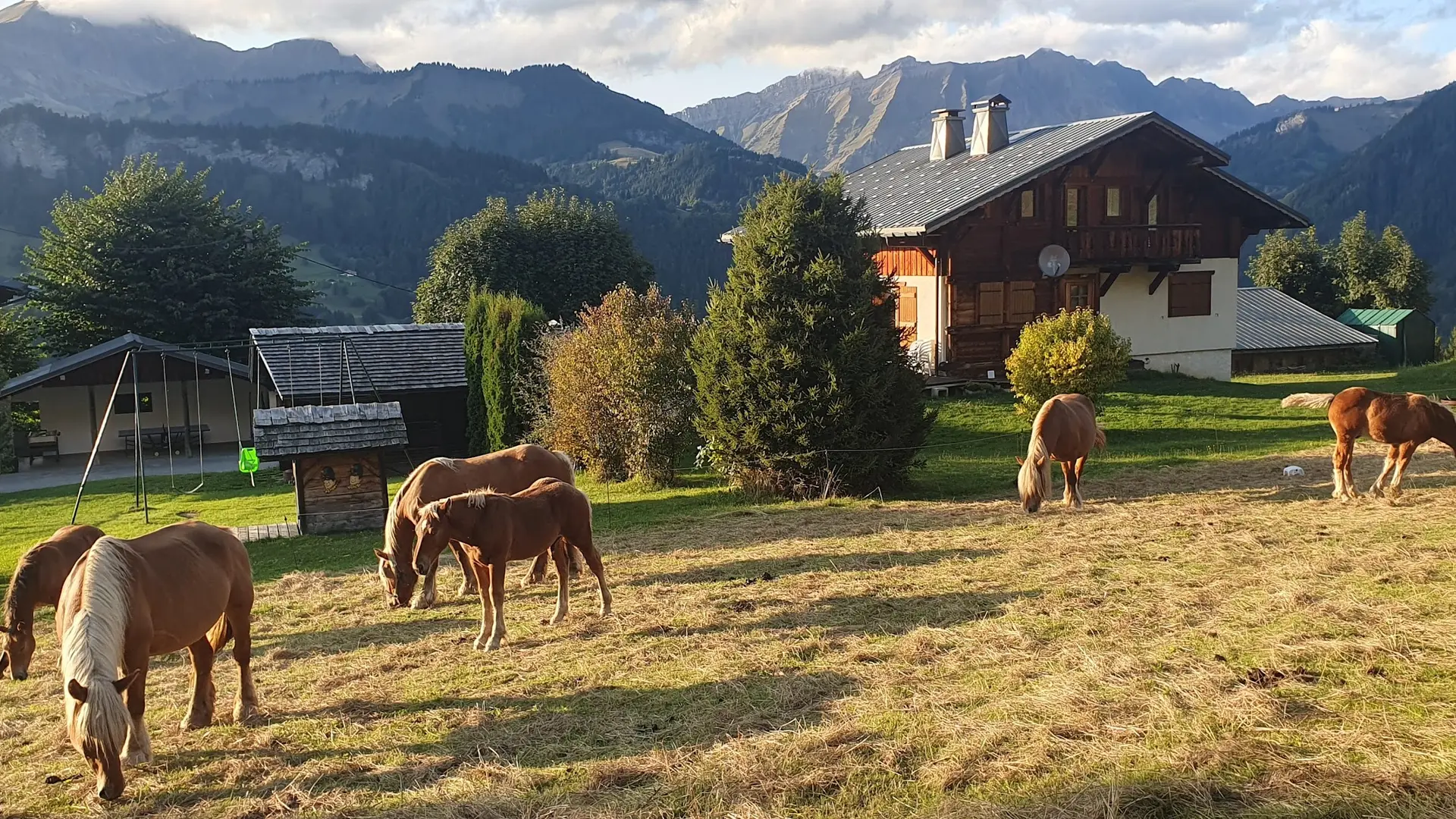 chevaux