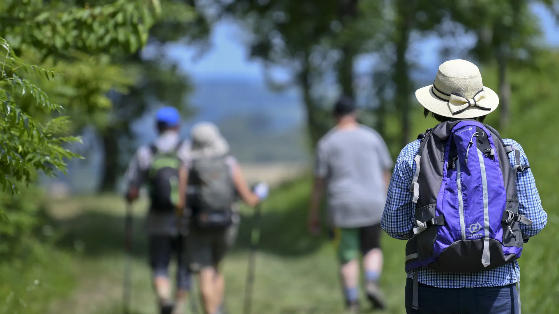 Les canaux La meyerie