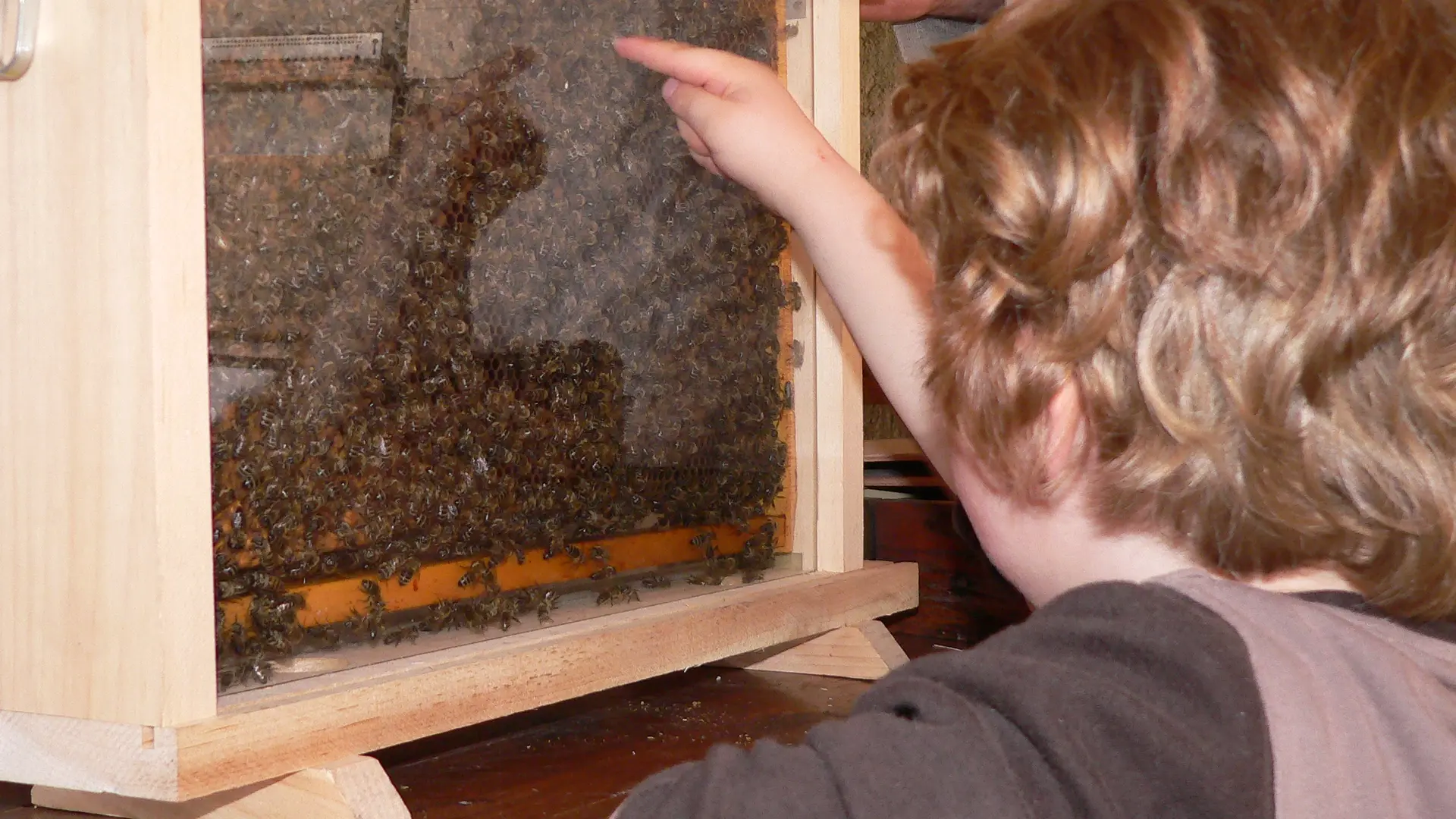 Les animations nature pour les scolaires de la Maison Neufcoeur