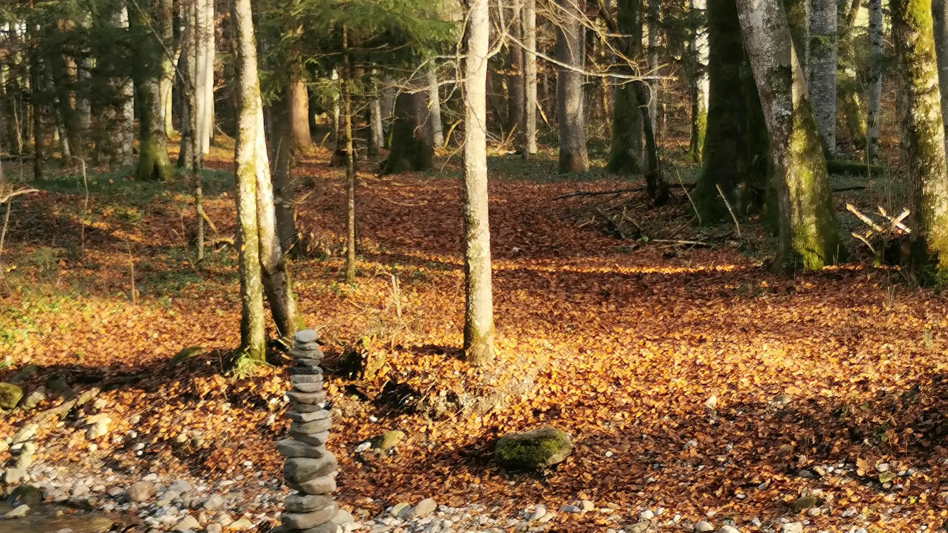 Cairn en bord de rivière