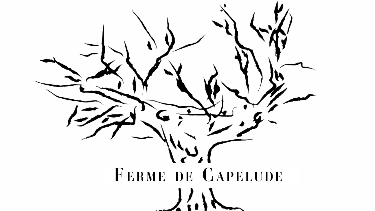 Logo Ferme de Capelude