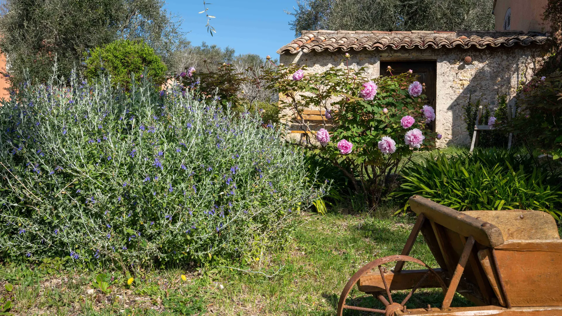 Gîte Villa les Seringas - Espace extérieurs -Mougins- Gîtes de France Alpes-Maritimes