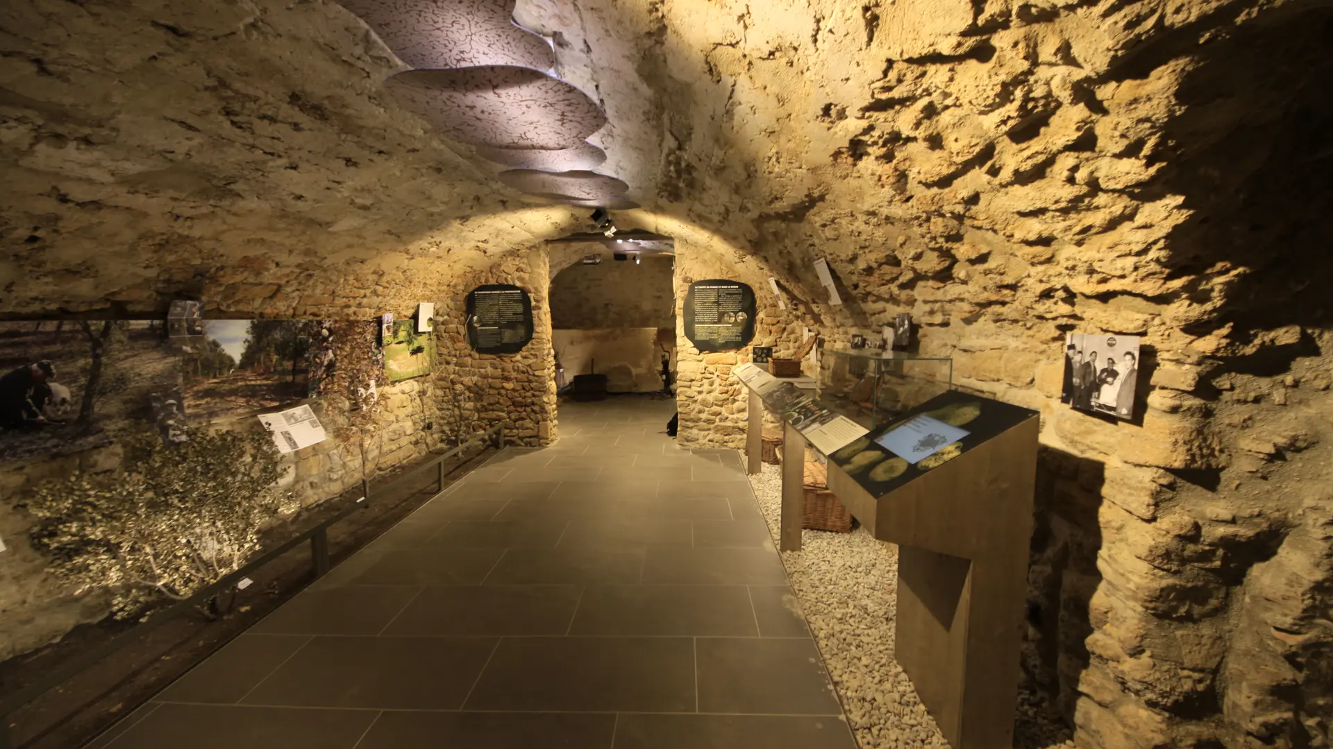 Exposition - Musée de la truffe et du vin