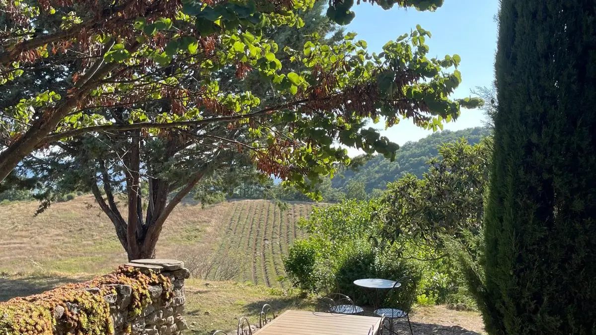 Gîte du Midi - vue vers les champs de lavande