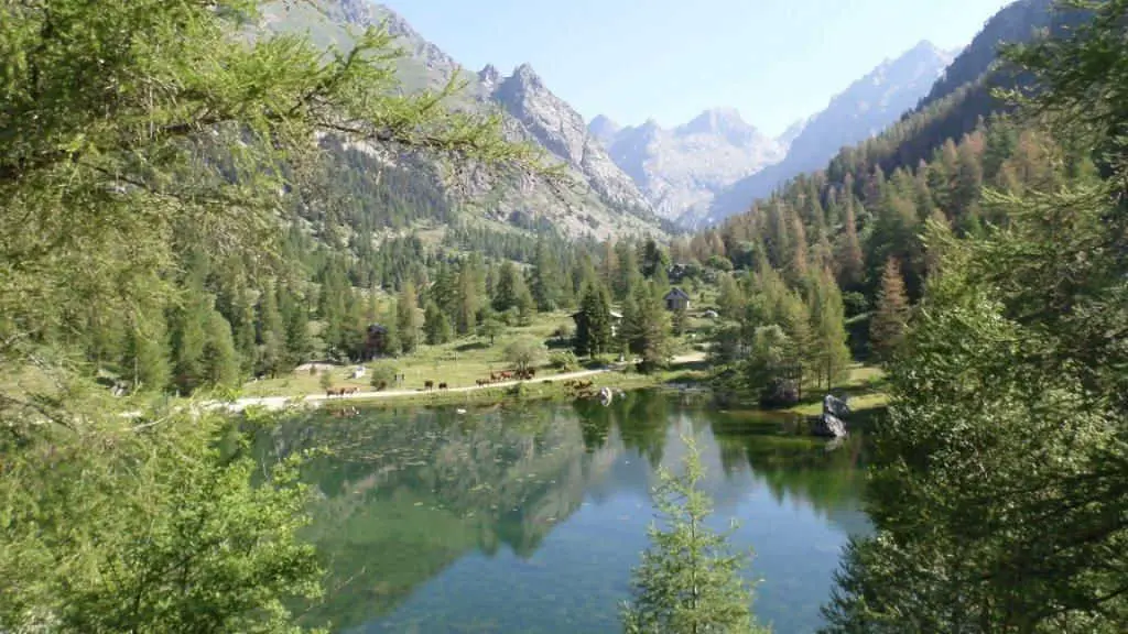 Gîte Le Balarino-Lac/Forêt-Belvédère-Gîtes de France des Alpes-Maritimes